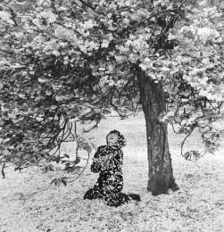 Foto di Édouard Boubat